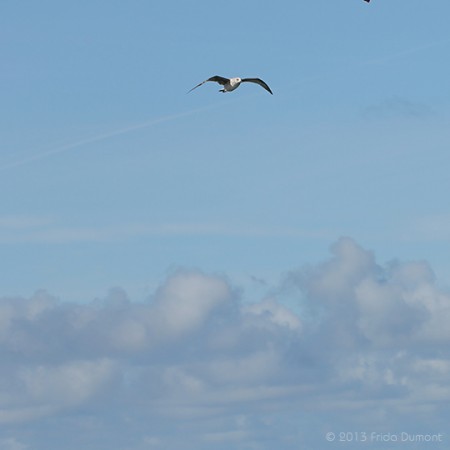 Belle-Île, Bretagne